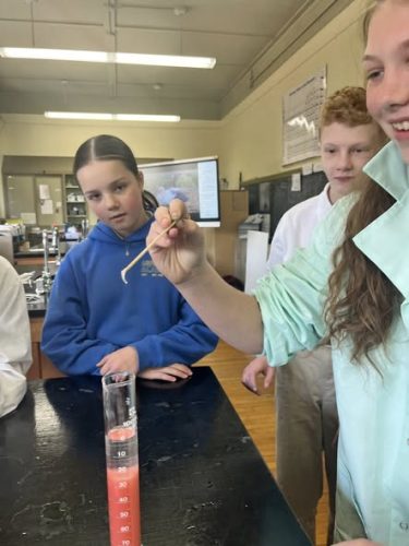 extracting-strawberry-DNA-in-a-Science-Lab